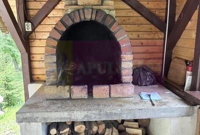 Vila din padure in Valea Doftanei - 29