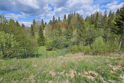 Teren 4048mp Campulung Moldovenesc, Strada Izvorul Alb, Suceava - 20