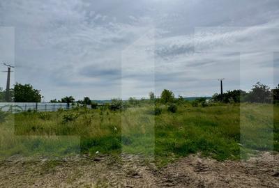Teren Construcții intravilan de 11165 mp, în Cătămărești-Deal
