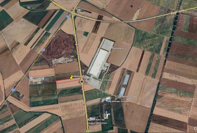 Teren Construcții intravilan de 19850 mp, în Șag