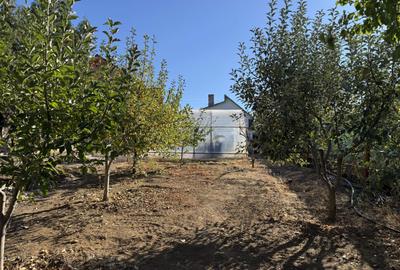 Casa 2 cam, bucatarie, baie, teren 650 mp, str. Manastirii - 2