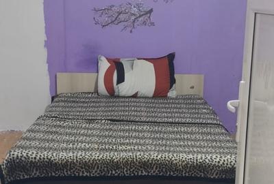 Garaoniere pentru muncitori, rahova - 6
