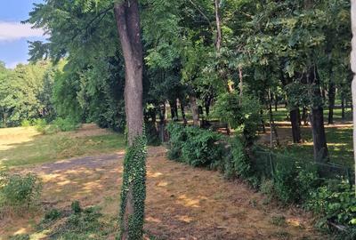 Apartament 1 camera-Gradina privata-Parcul Copou - 5