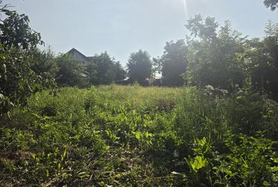Branesti/Pasarea/Piteasca casa de vanzare deschidere la lac - 6