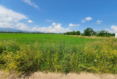 Teren Brasov – Sanpetru Livada zona de case - 2
