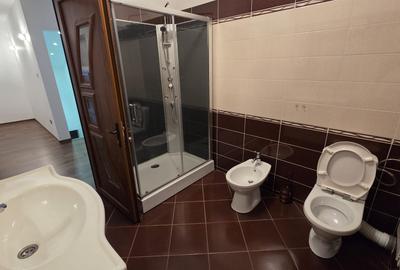 Casa P+M si teren generos de vanzare – Dancu - 6