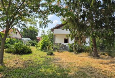 Casă S+P+M | Dârvari, Tămădău Mare | Teren 3000 mp - 3
