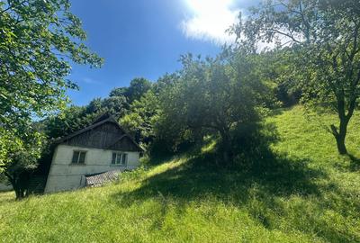 Casa de vacanta 98 mp| 25.000 mp teren| zona Valea Vintului - 6
