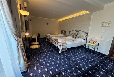 HOTEL DE VANZARE- PROPRIETAR - LANGA AEROPORTUL OTOPENI - 9