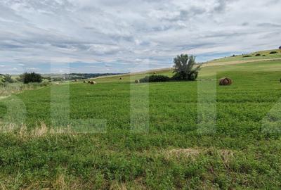 Teren agricol extravilan de 22000 mp, în Hilișeu-Horia
