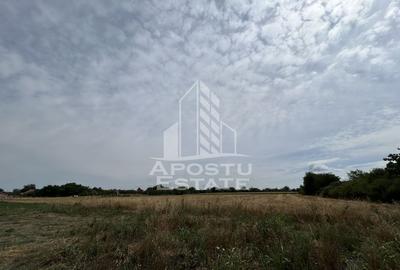 Teren Construcții intravilan de 2248 mp, în Parța