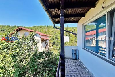 Casă P+1 cu subsol, 219 mp, teren 547 mp – Valea Mare Podgoria - 22
