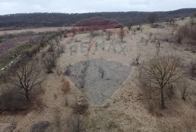 Teren Construcții intravilan de 1654 mp, în Cetate