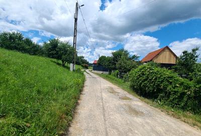 CASA DE VANZARE PODUL OLTULUI CU ACCES PRIVAT - 19