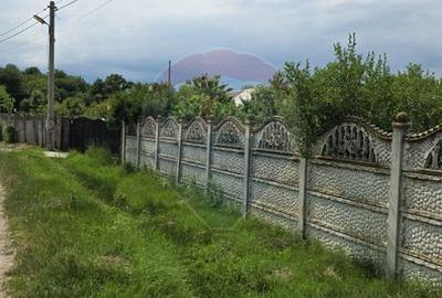 Domeniu rural, gospodarie/multifunctionala cu casa, livada, vie - 35