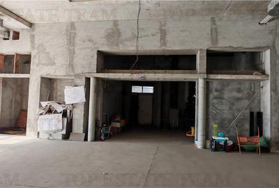 Vila somptuoasa, 10 + camere, S+P+1, 1100mp utili, cu toate utilitatile, in  sec - 17