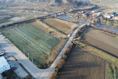 Teren industrial 15.938 MP langa HENKEL cu utlilitati la limita - 5