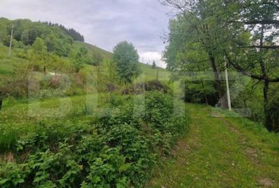 Teren Construcții intravilan de 1585 mp, în Câmpeni