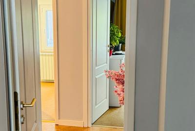 Piata ALBA IULIA/DECEBAL,nestradal,apartament superb,ideal locuit,utilat complet - 4