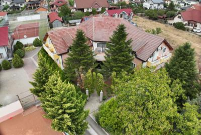 Complex turistic pe un domeniu de 5.375 mp | Sânmartin - 15