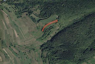 Portofoliu funciar de peste 10 hectare | Izbuc - Carpinet | Jud. Bihor - 2