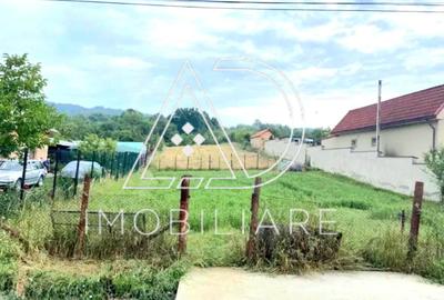 TEREN DE VÂNZARE – VLĂDULENI, COMUNA BĂLTENI - 4