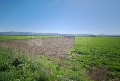 Teren extravilan, 8700 mp, pretabil agricultură sau investiție - Bod - 8