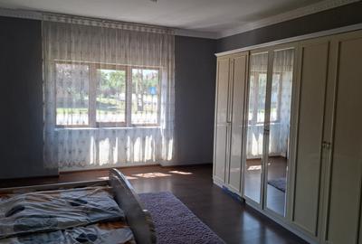 Casa 3 camere  recent renovata in Nadlac - 10