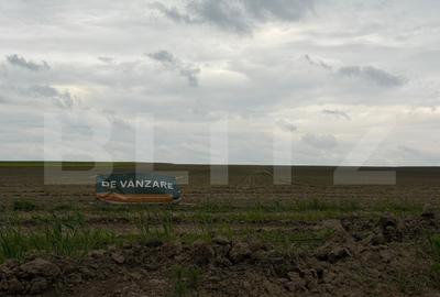 Teren Construcții extravilan de 7891 mp, în Salcea