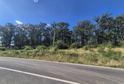 Casă cu grădină în Dumbrăvița – la doar 25 km de Brașov - 21