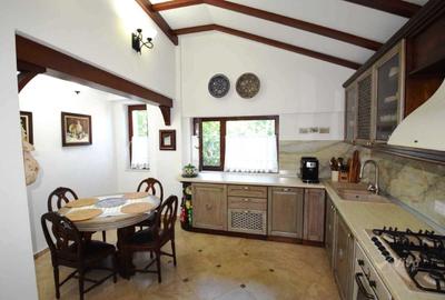Pădurea Bucium-zona Motel, proprietate de lux la vânzare - 33
