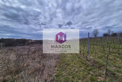 Teren agricol extravilan de 11400 mp, în Iabalcea