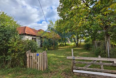 Teren intravilan | 1212 mp² | Brebu Mânăstirei | Casa Bătrânească - 1