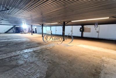 Spațiu industrial, de 330.00 mp, în Bulgaria
