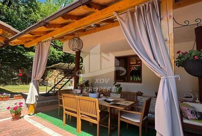 Vila  Frumoasa , individuala ,Sibiu ,7 camere , 5 Bai , mobilata ,utilata - 9