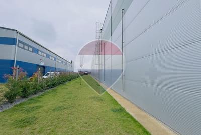 Depozit frigorific Oradea zona industriala - 20