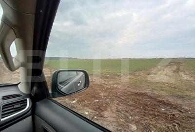 Teren Construcții intravilan de 946 mp, în Ghiroda