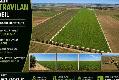 Teren agricol extravilan de 70000 mp, în Cobadin