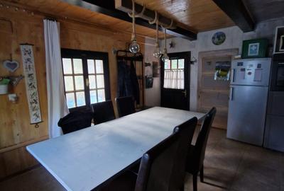 CABANĂ DE VÂNZARE ÎN ROMULI, BISTRIȚA-NĂSĂUD - 8