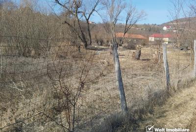Teren Construcții intravilan de 1000 mp, în Ciurila