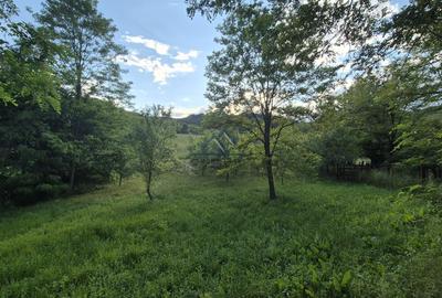 Teren intravilan 1201 mp – Curtea de Arges, Strada Haiducesti - 1