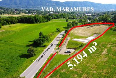 Teren 5.194 m² | 181 metri front la strada Principala (DJ 182C) | Servicii