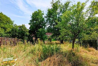REZERVAT ! Asezare munteneasca: casa din bustean si sura zidita, Arcus, Covasna - 19