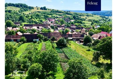 Casă tradițională de vânzare în Transilvania – gospodărie autentică - 15