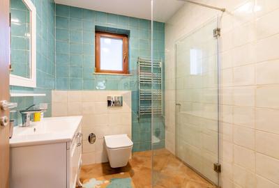 Vilă P+E+M cu 4 camere, 294 mp, Berceni/Ilfov - 13