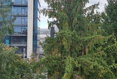 Construcție unică, rezistentă și sigură –  3 camere lângă AFI Cotroceni - 29