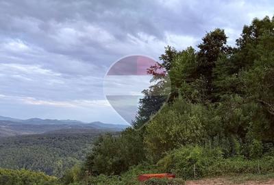 De vânzare teren intravilan 3,690mp Suncuius - 7