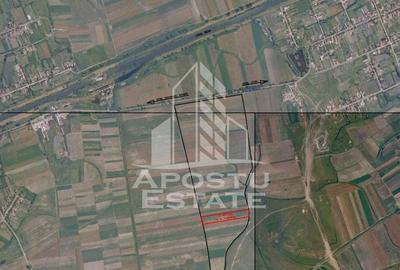 Teren agricol extravilan de 11600 mp, în Utvin