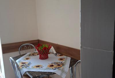 APARTAMENT ULTRACENTRAL,FINISAT,MOBILAT SI UTILAT CU PANORAMA SUPERBA - 39