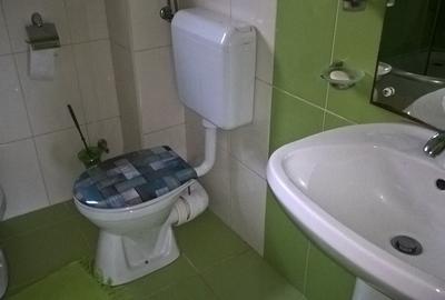 Casa 4 camere SANPETRU - 13